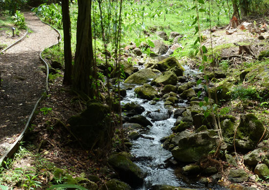 Image of Makiki Valley Loop Trail