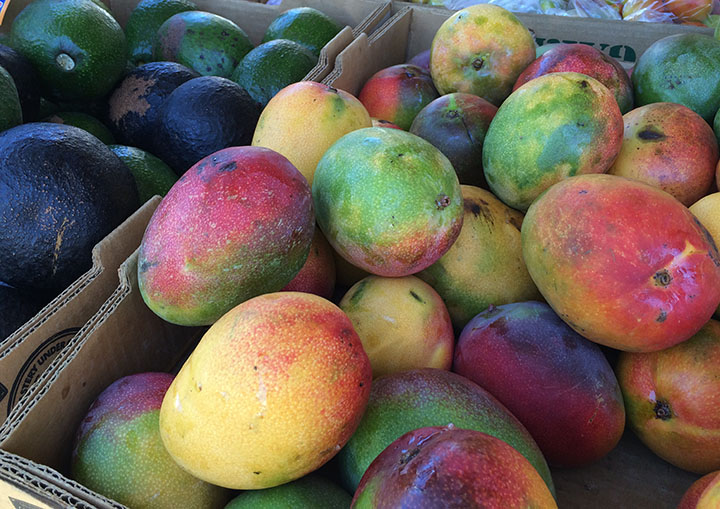 Image of mangoes