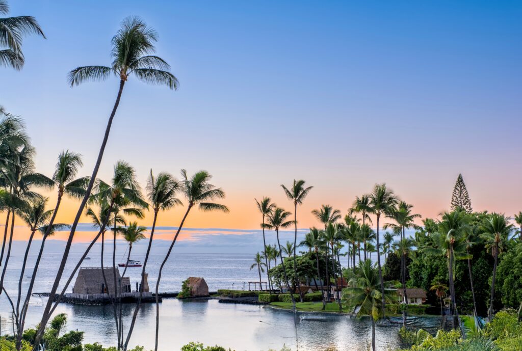 Palm trees at the beach by blue lagoon. Hawaii islandhateii hawiia hawaii. hawaiii hawiaii hwaii hawaai hawall hawii hawwai hawwaii hawwii hiwaii haiwaii hawia hawwi 2570244541