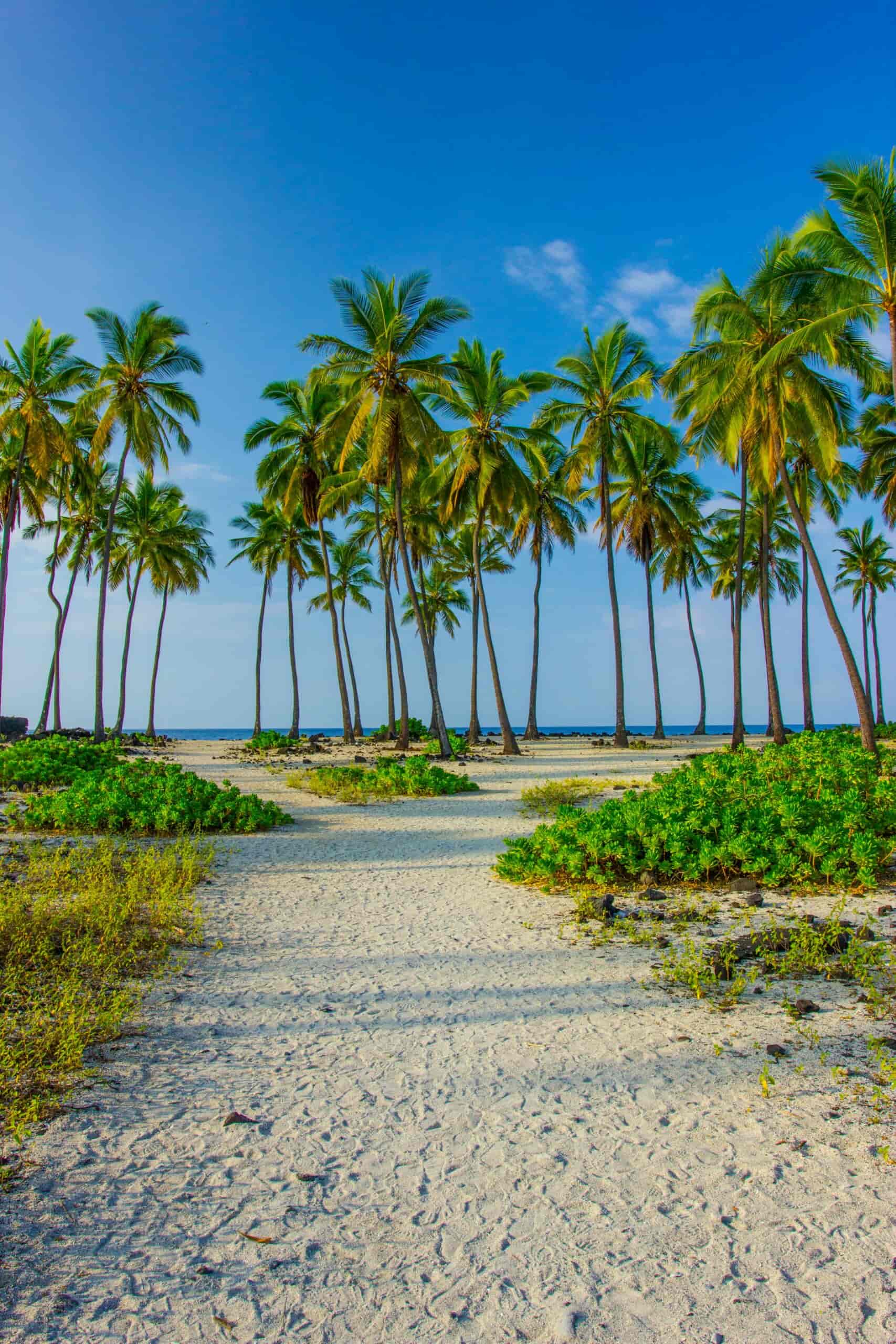 big island beaches