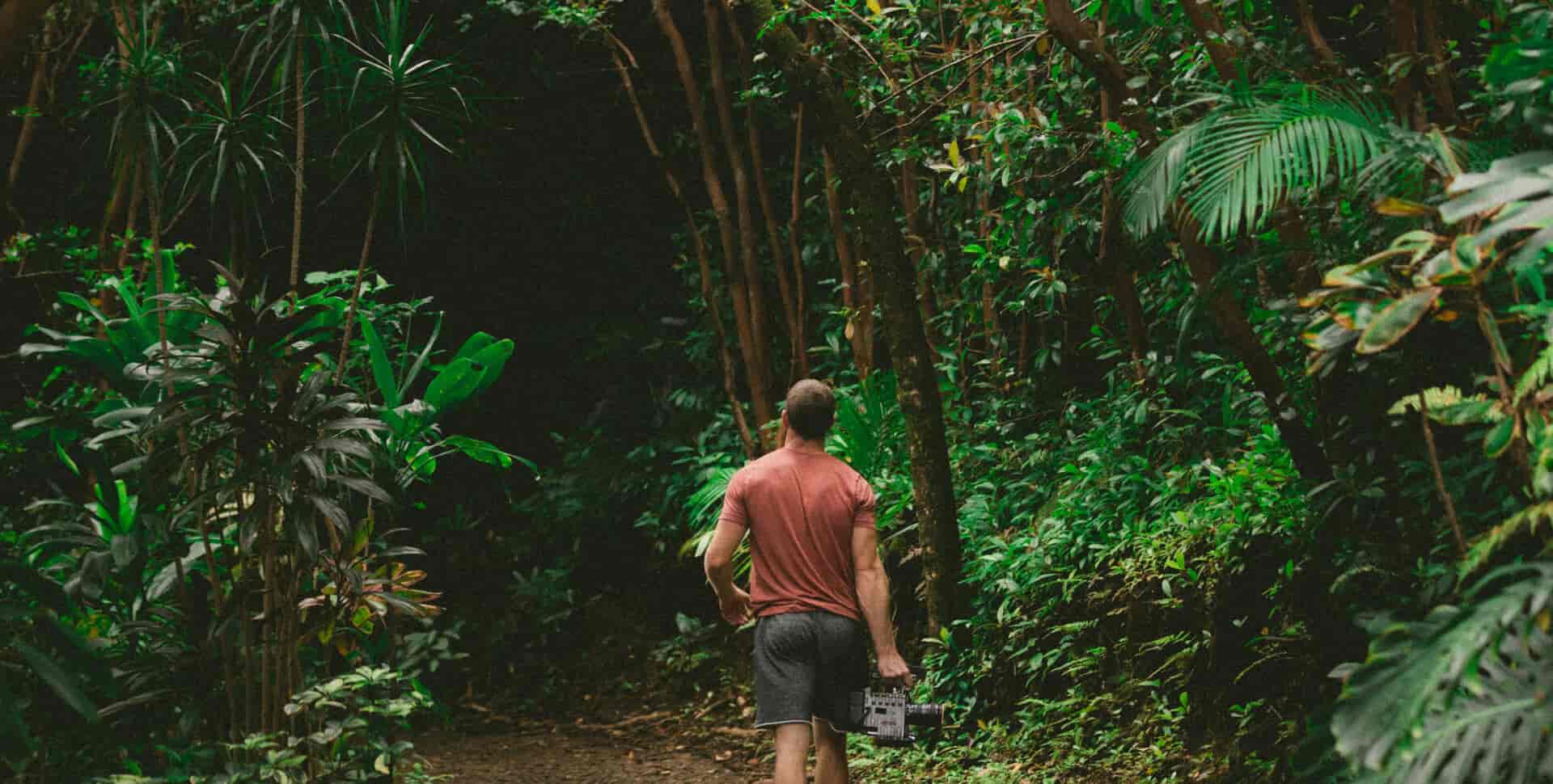 kauai tours