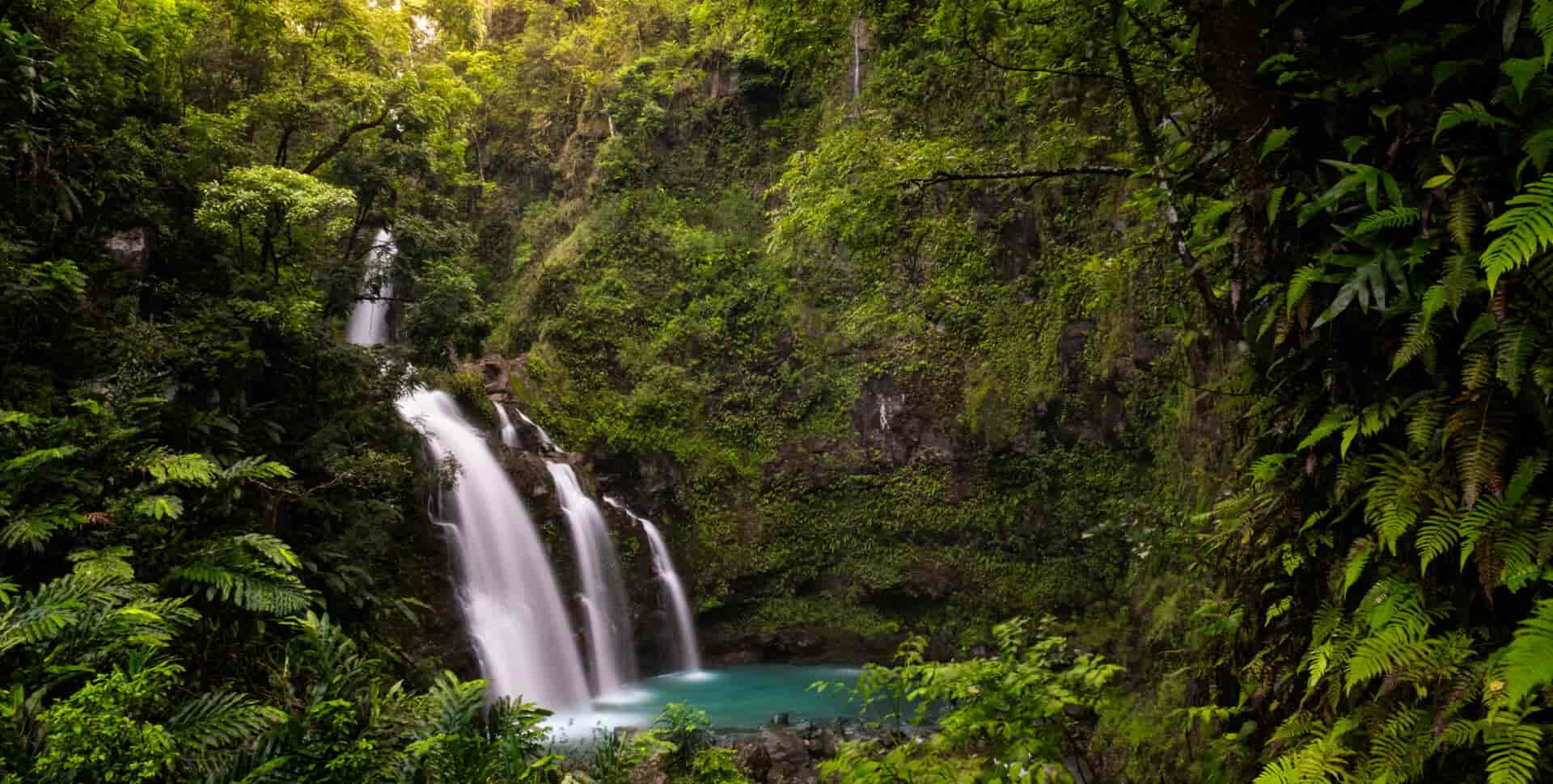 maui nature tours