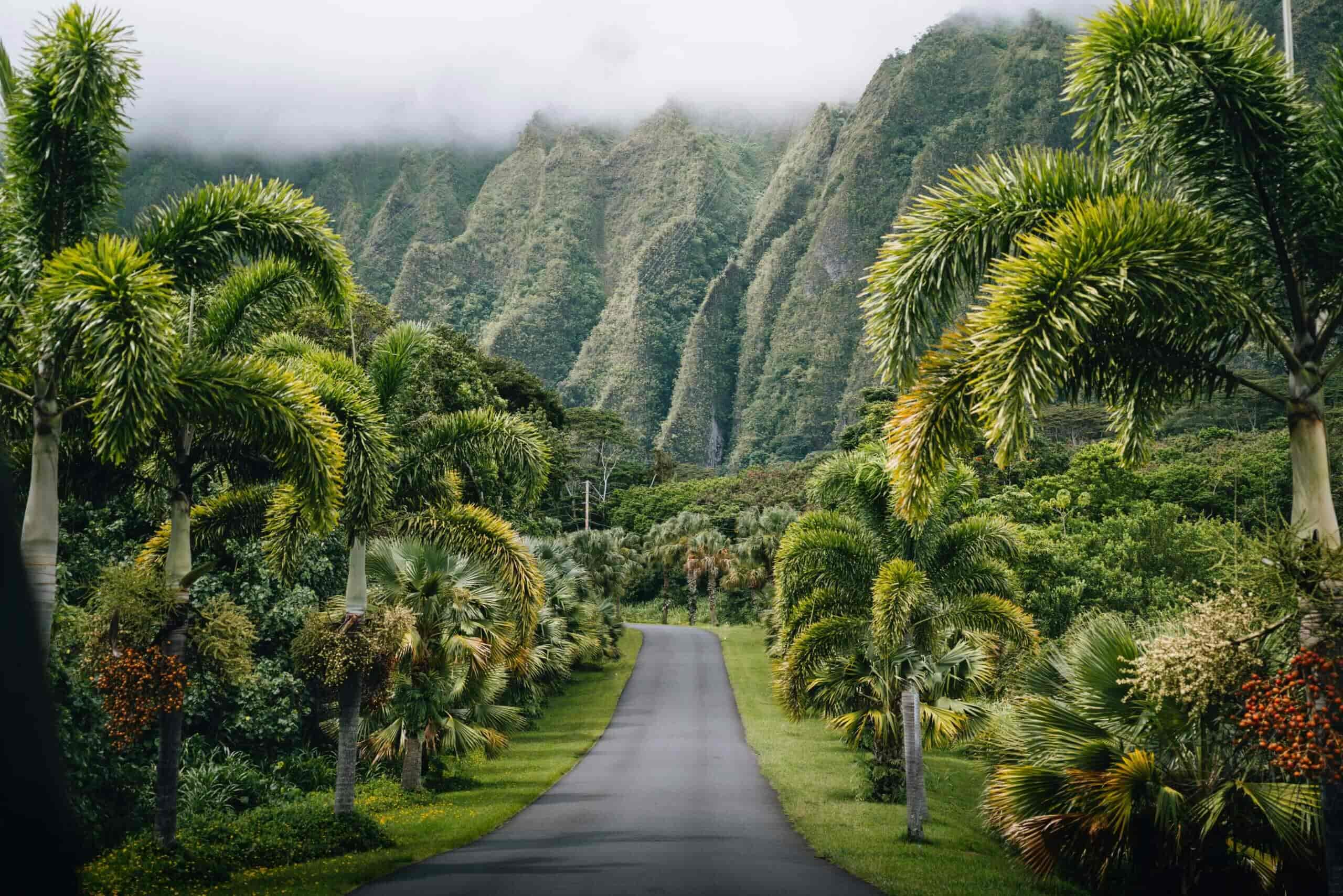 oahu national park tour