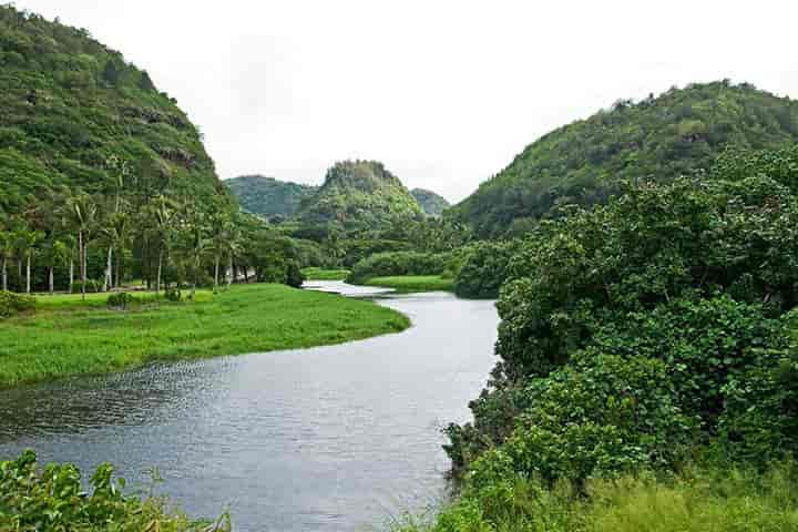 Waimea Valley