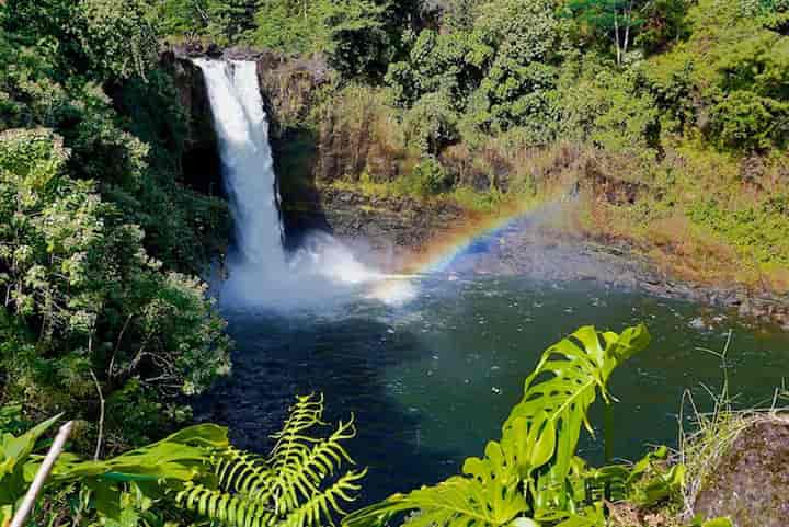 Rainbow Falls, a Scenic Stop in Hilo