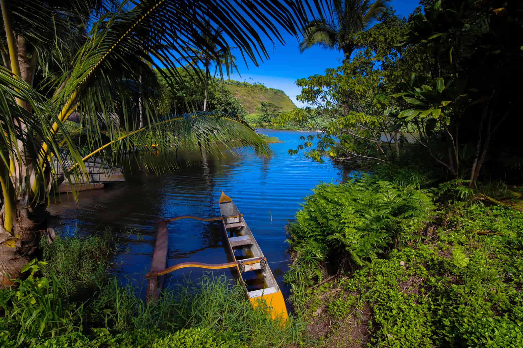 Explore Kauai’s Wailua River