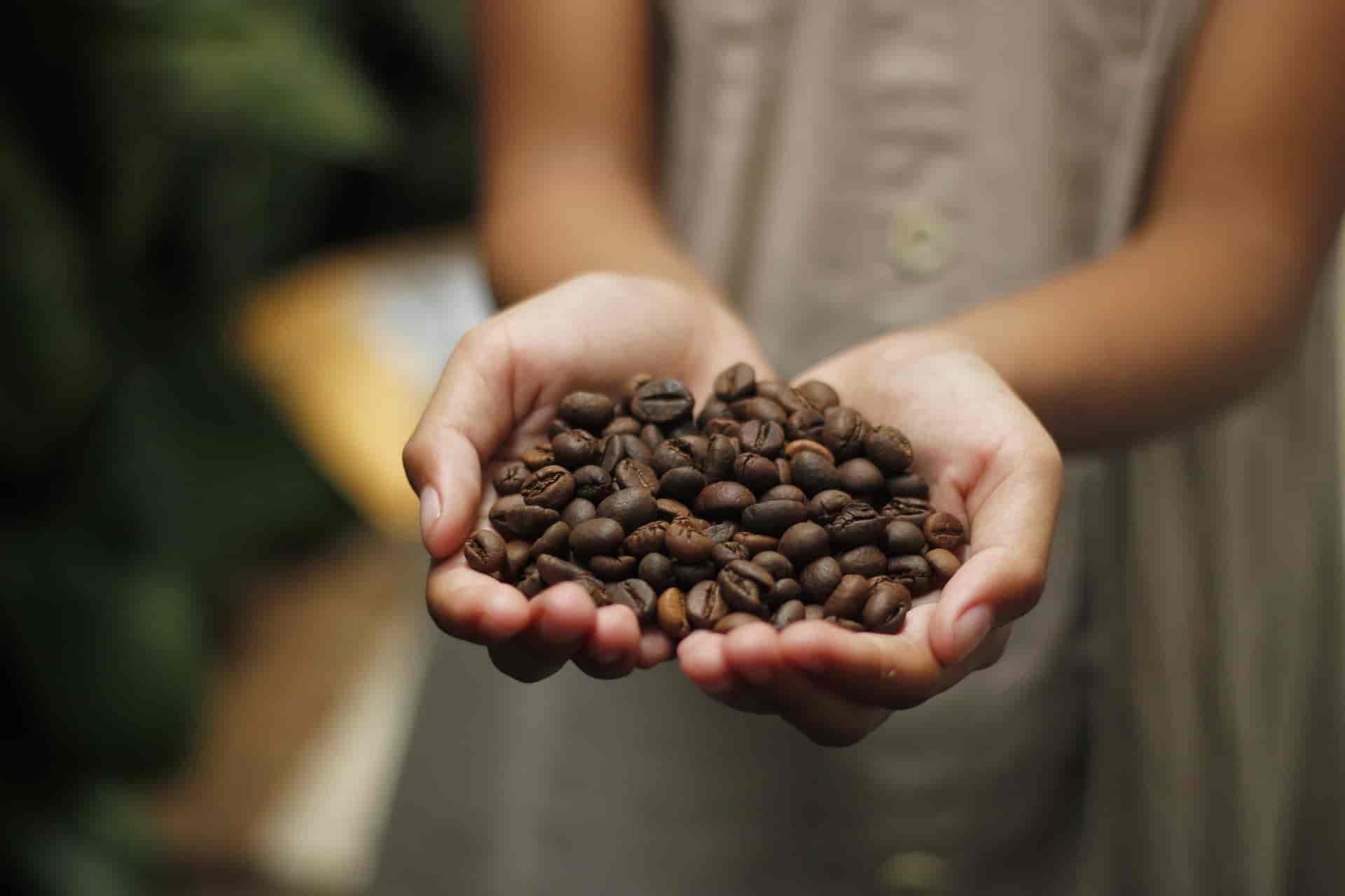 Kona on Big Island: Much More Than Great Coffee