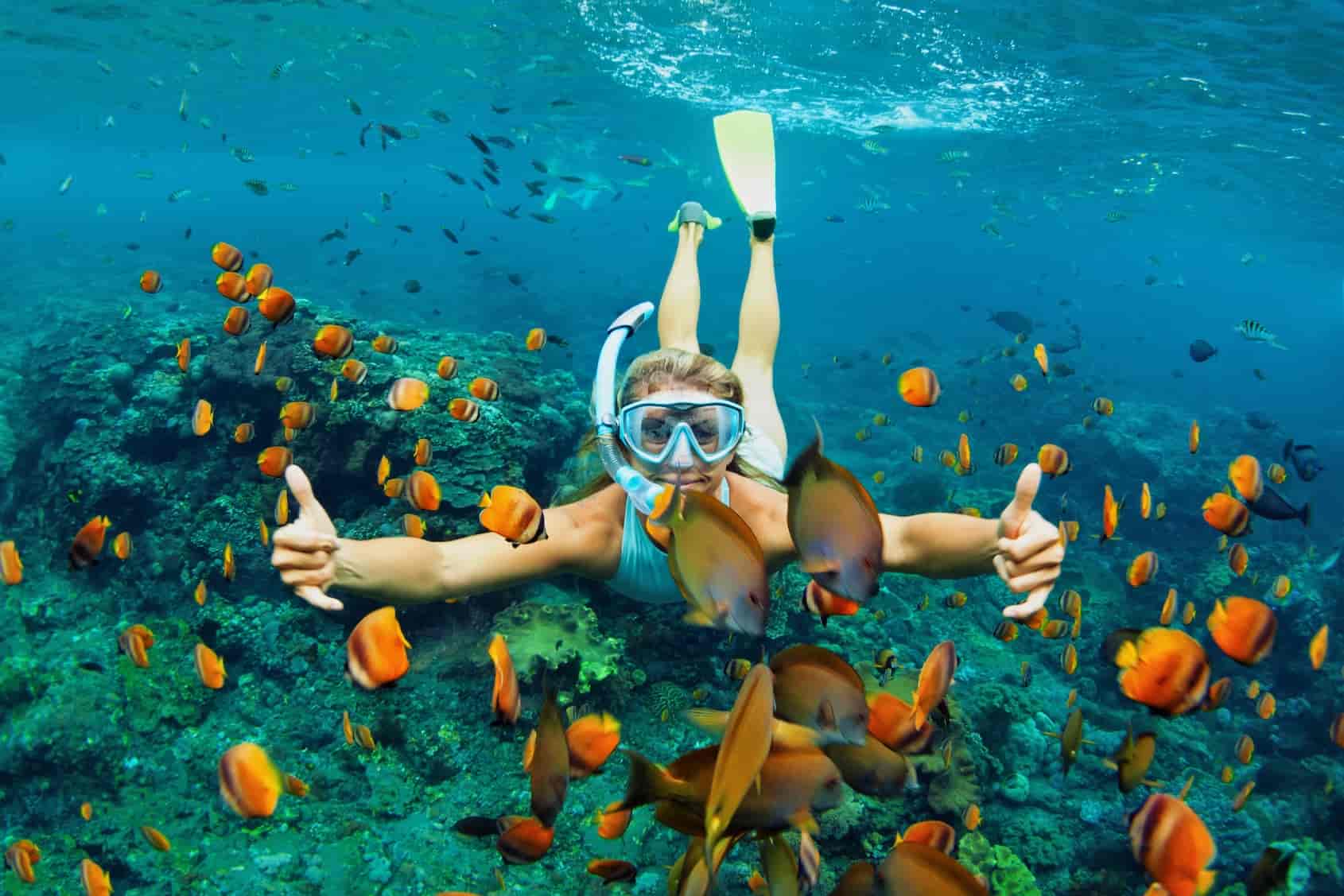 Hawaii’s Best Snorkeling Boat Adventures