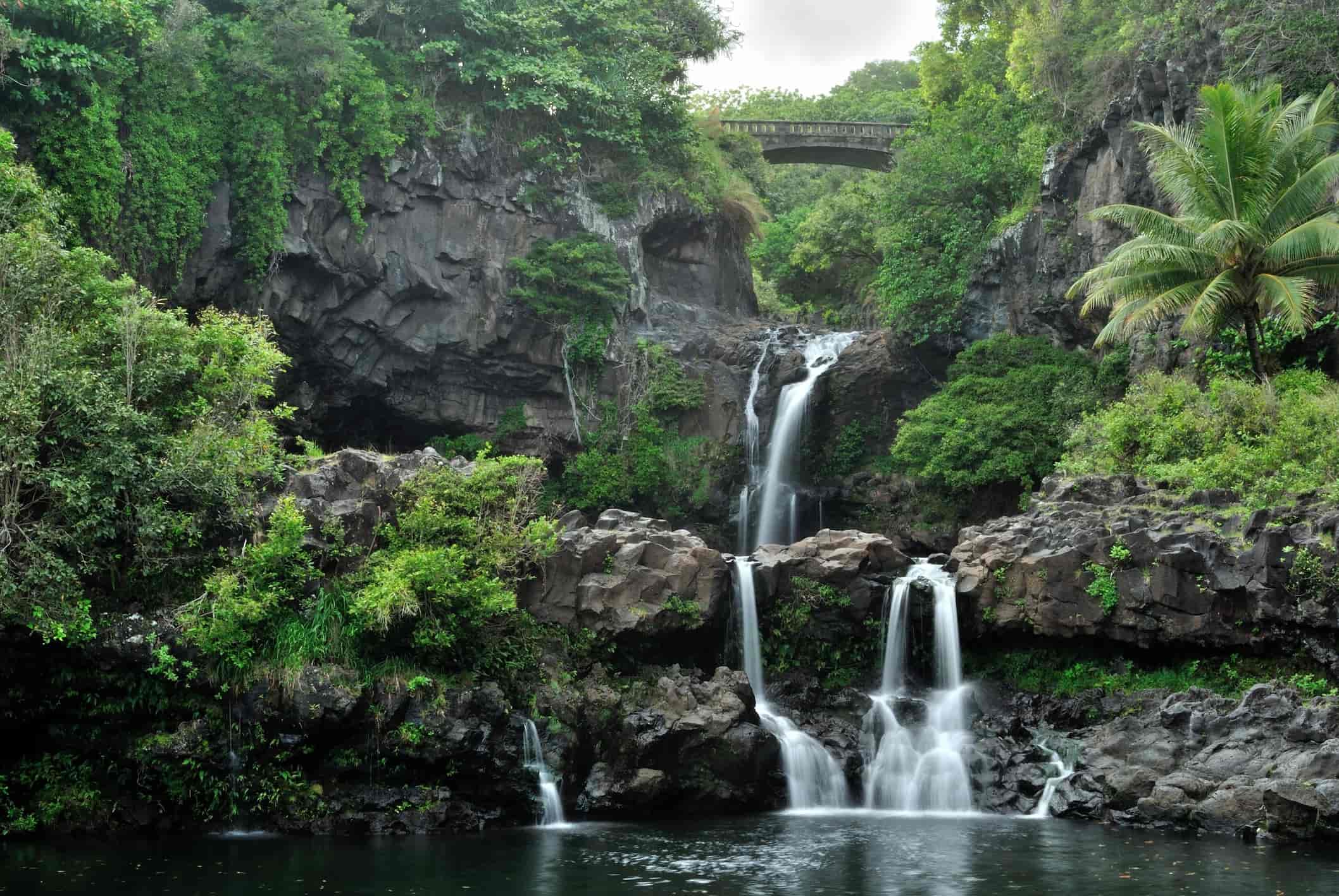 Experience Unique Hawaii Tours