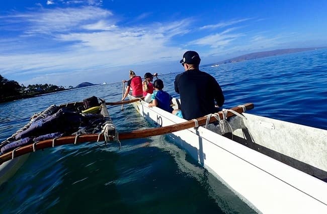 Grand Wailea Swim with the Turtles