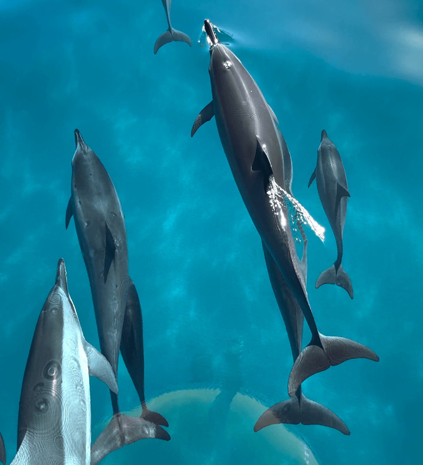 Morning NaPali Coast Snorkel Tour- Super Raft Adventure