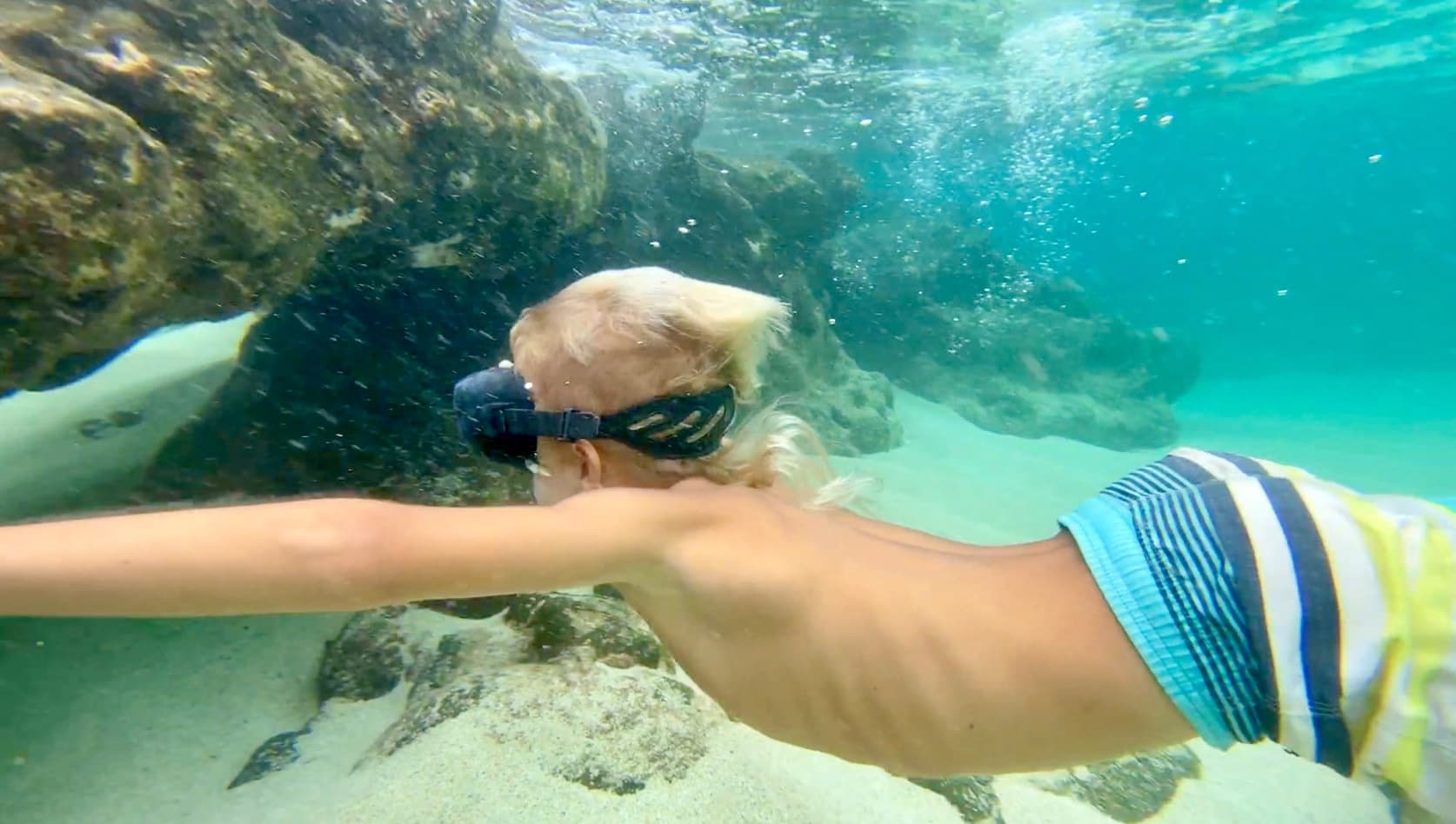 North Shore Tour from Ko Olina