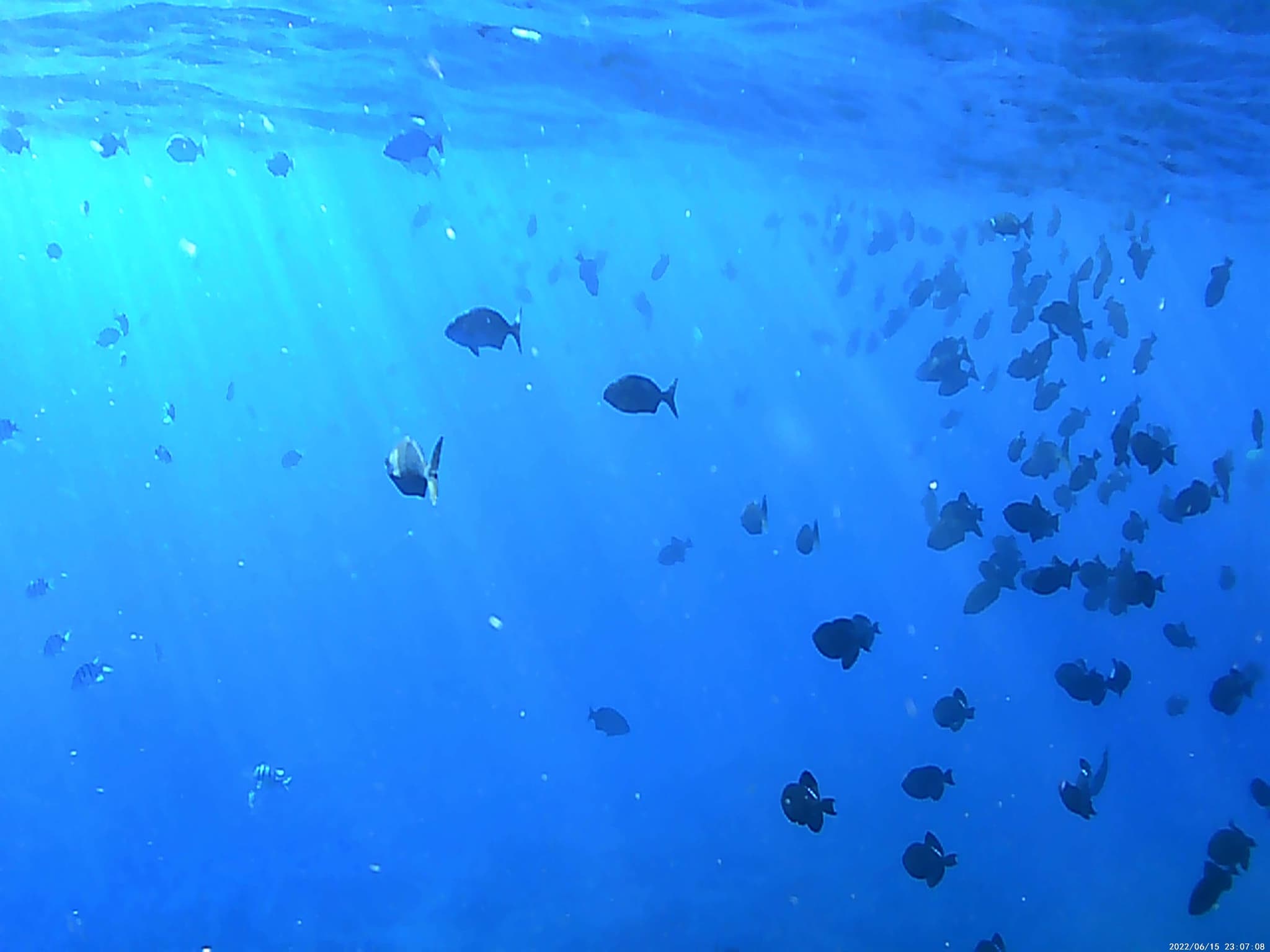 3 Day Dive Adventures on Kauai