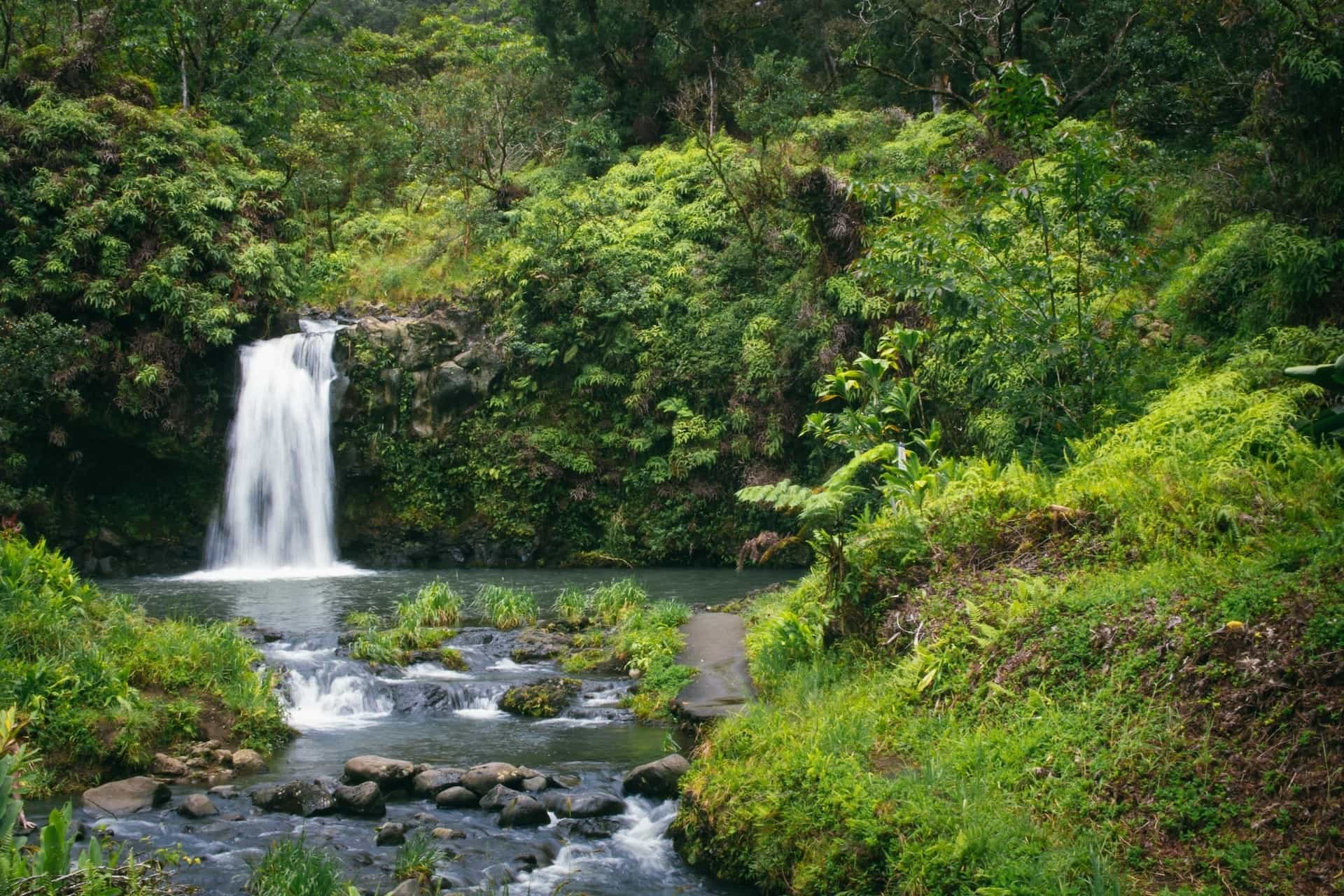 Road to Hana Tour with Farm to Table lunch, Pickup & Drop off