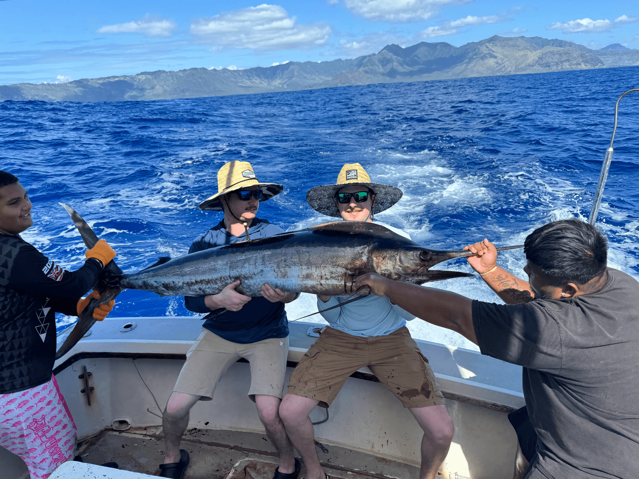 Half Day Bottom Fishing/Light Troll PM