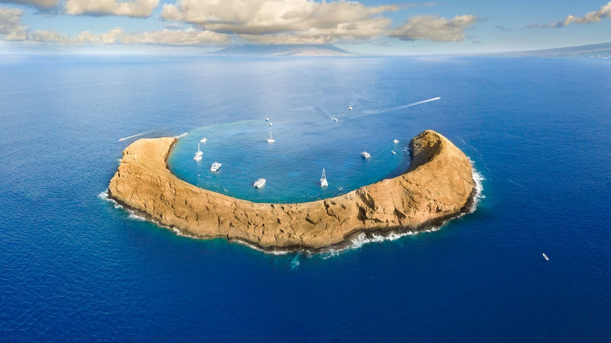 Wikiwiki Molokini
