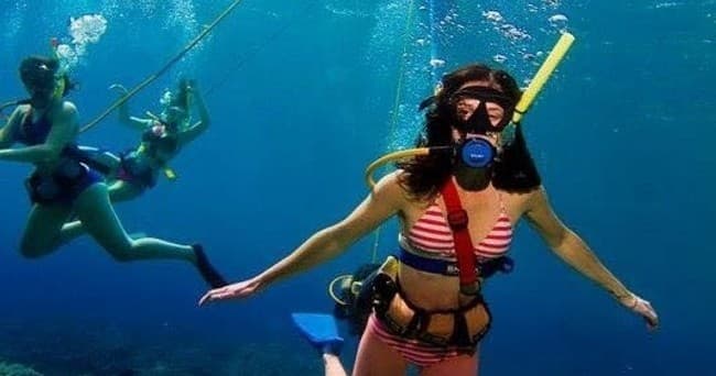 Maui South Side Morning Dive--Kihei, Wailea & Makena