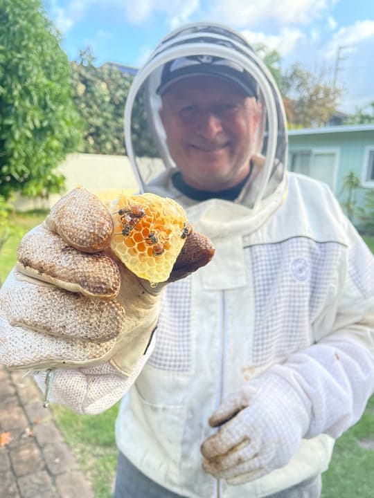 Bee Talk and Honey Tasting