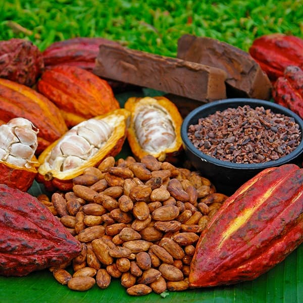 Chocolate Ceremony equinox/spring celebration with live music, dancing & community