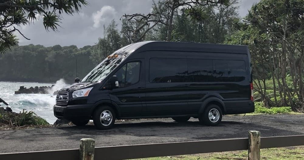 Hike into Heritage: Luxury Rainforest Hike & Waterfall Swim - Private Platinum Minibus