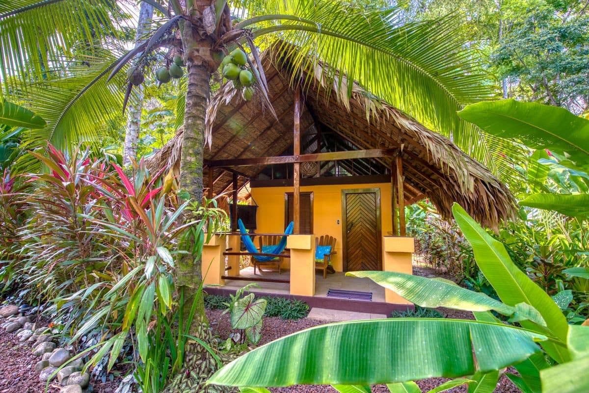 Roots of Relaxation: An Elevated Yoga & Nature Retreat in Puerto Viejo, Costa Rica