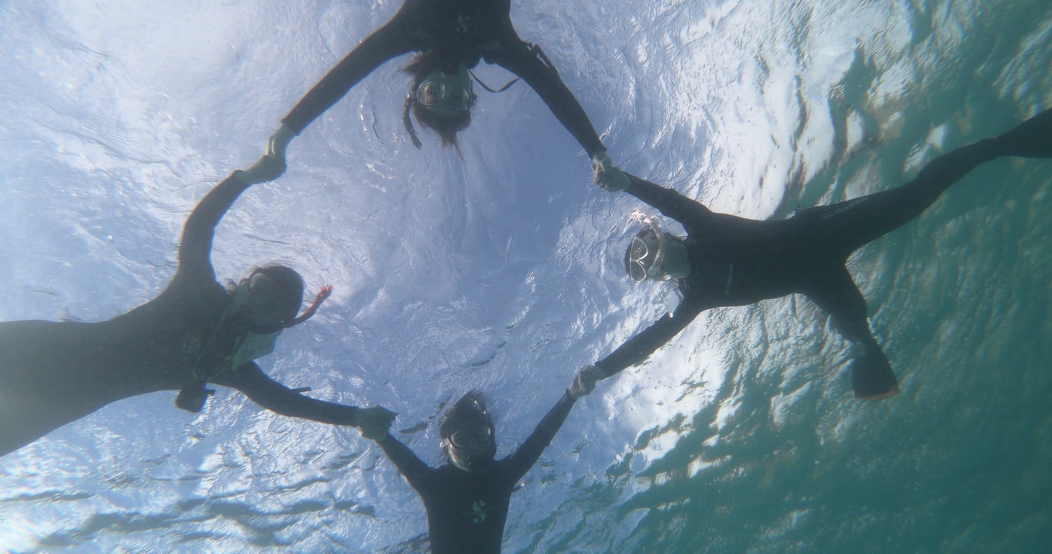 ハナウマ湾シュノーケリングツアー