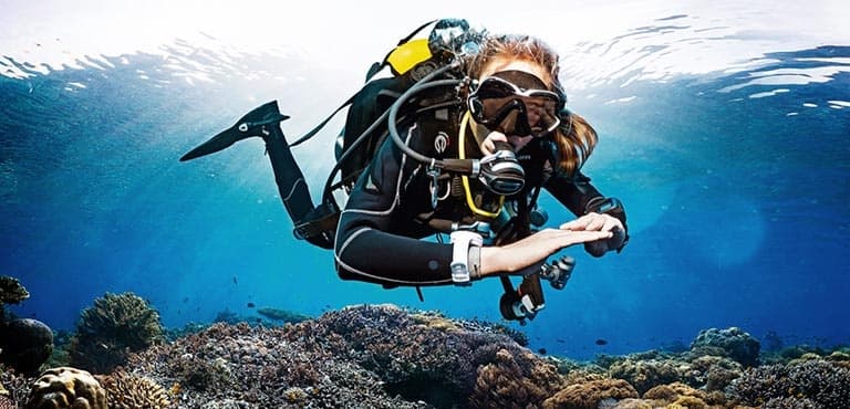 SSI Dive Guide/ Divemaster Course
