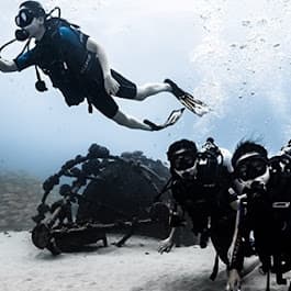 Electric Beach Shore Dive - Seasonal Dive (May-August Only)