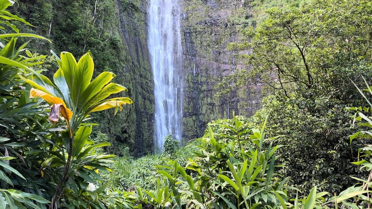 Private Pipiwai Trail Maui Open-Air Jeep Tour