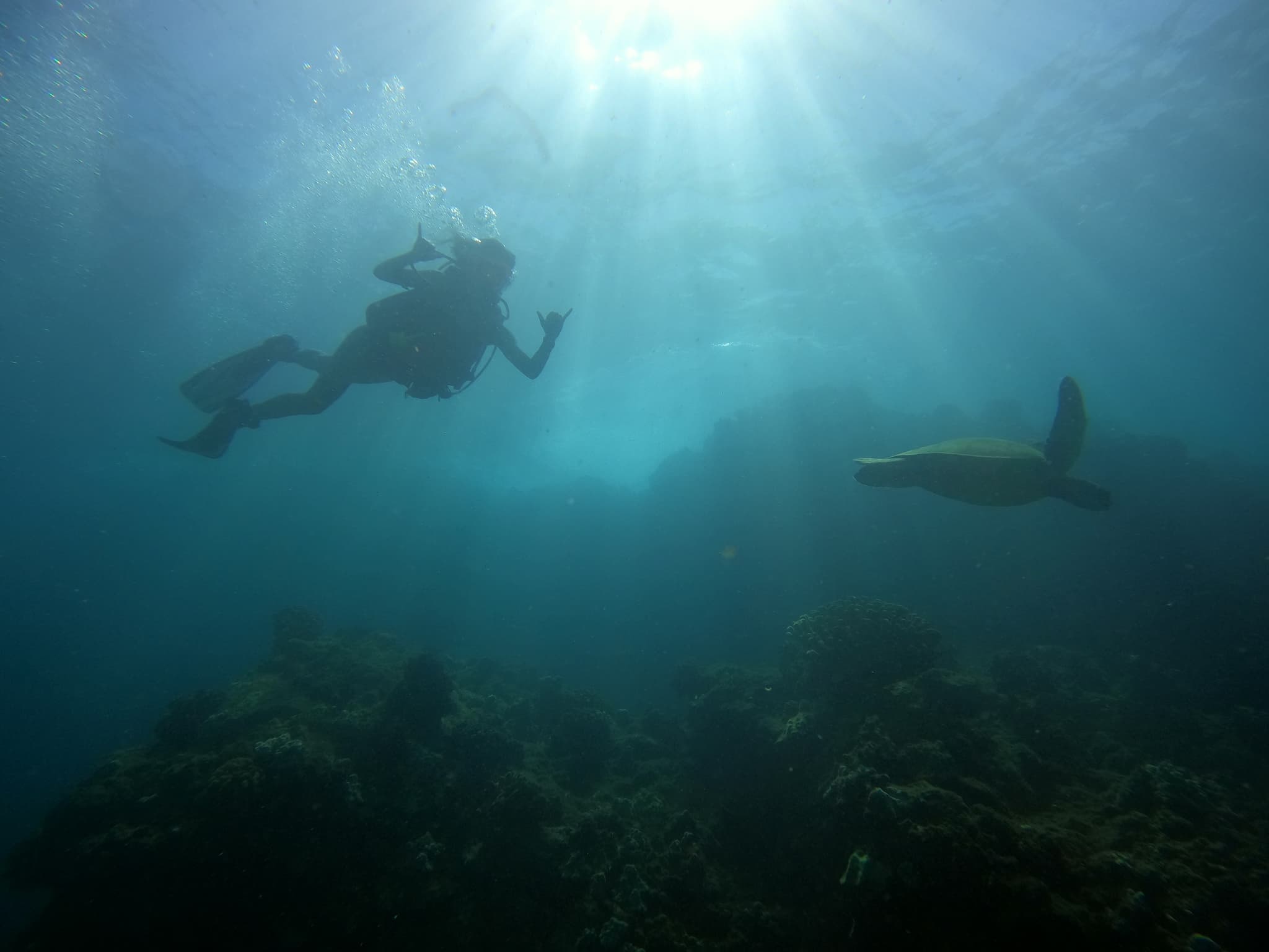 Adventures for Certified Divers
