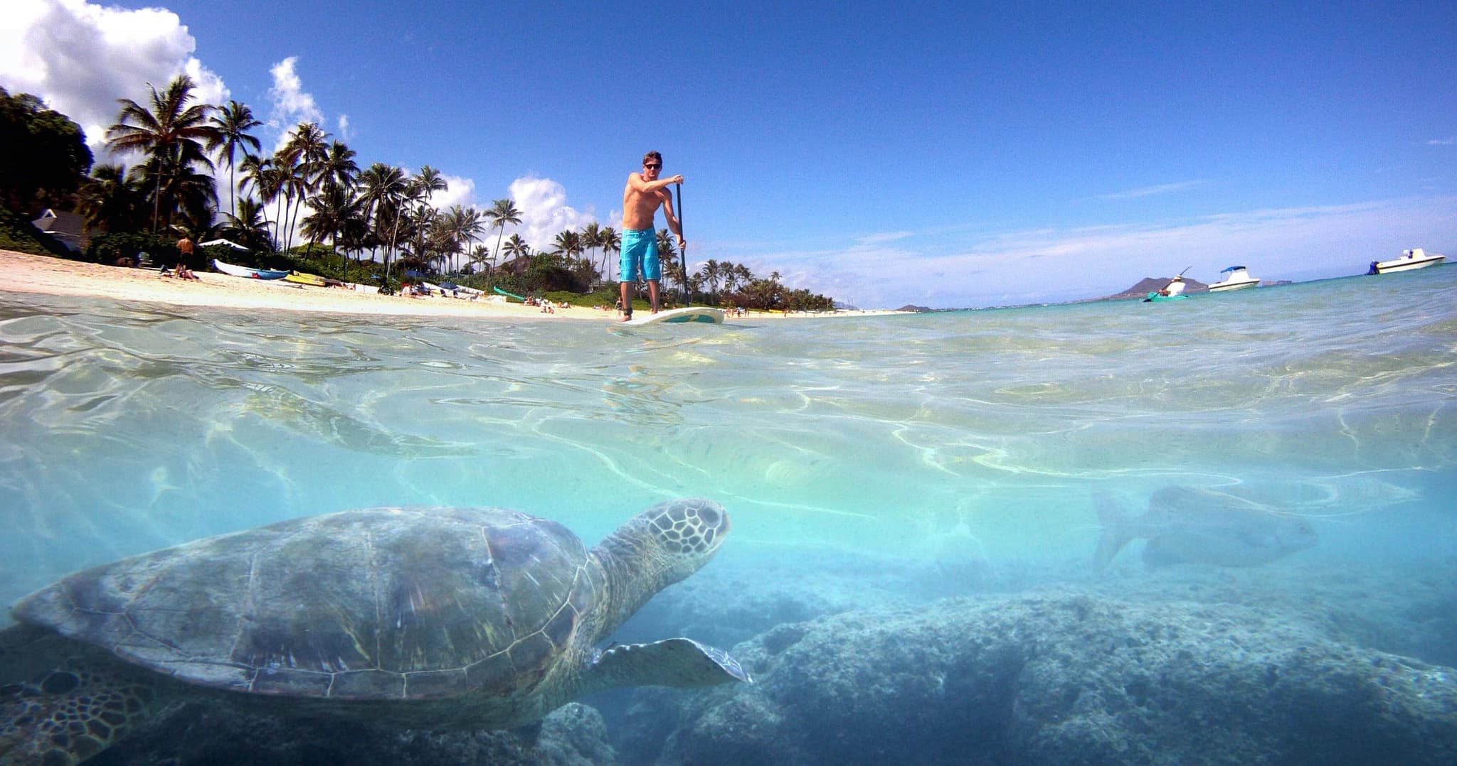 Self Guided Stand Up Paddle (SUP) Tour