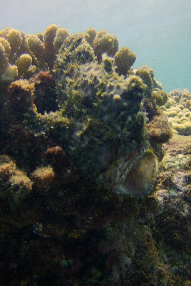 Epic's Discover Scuba