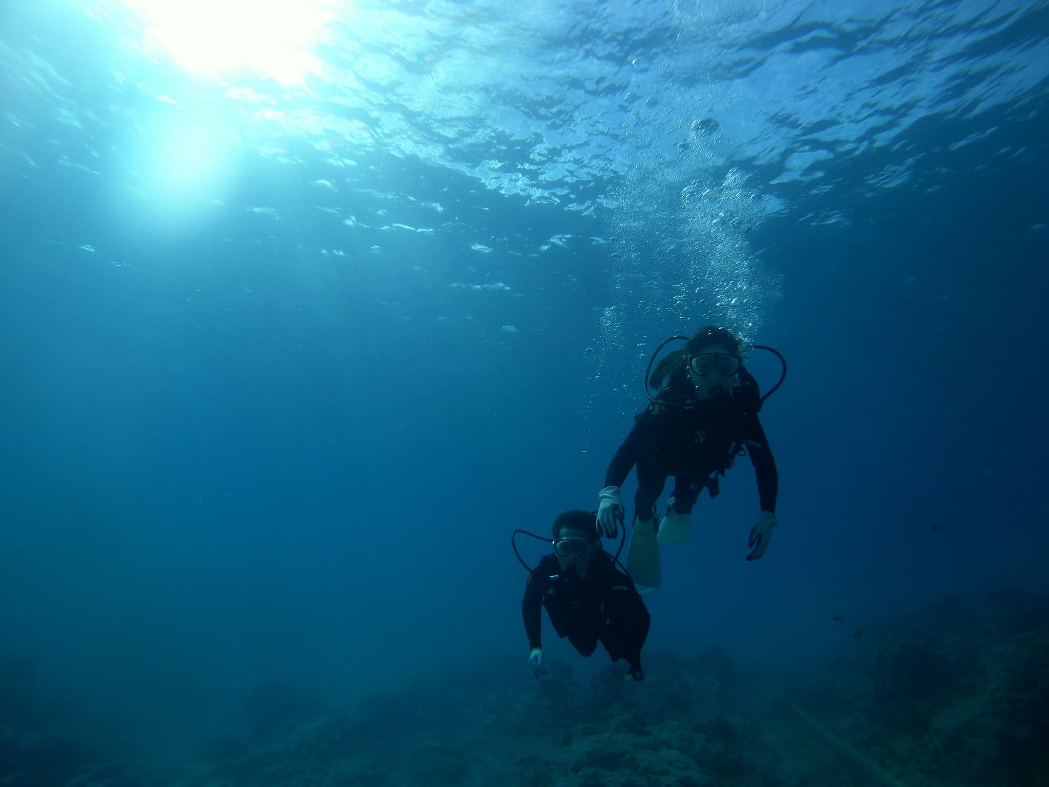 ハナウマ湾ダイビングツアー