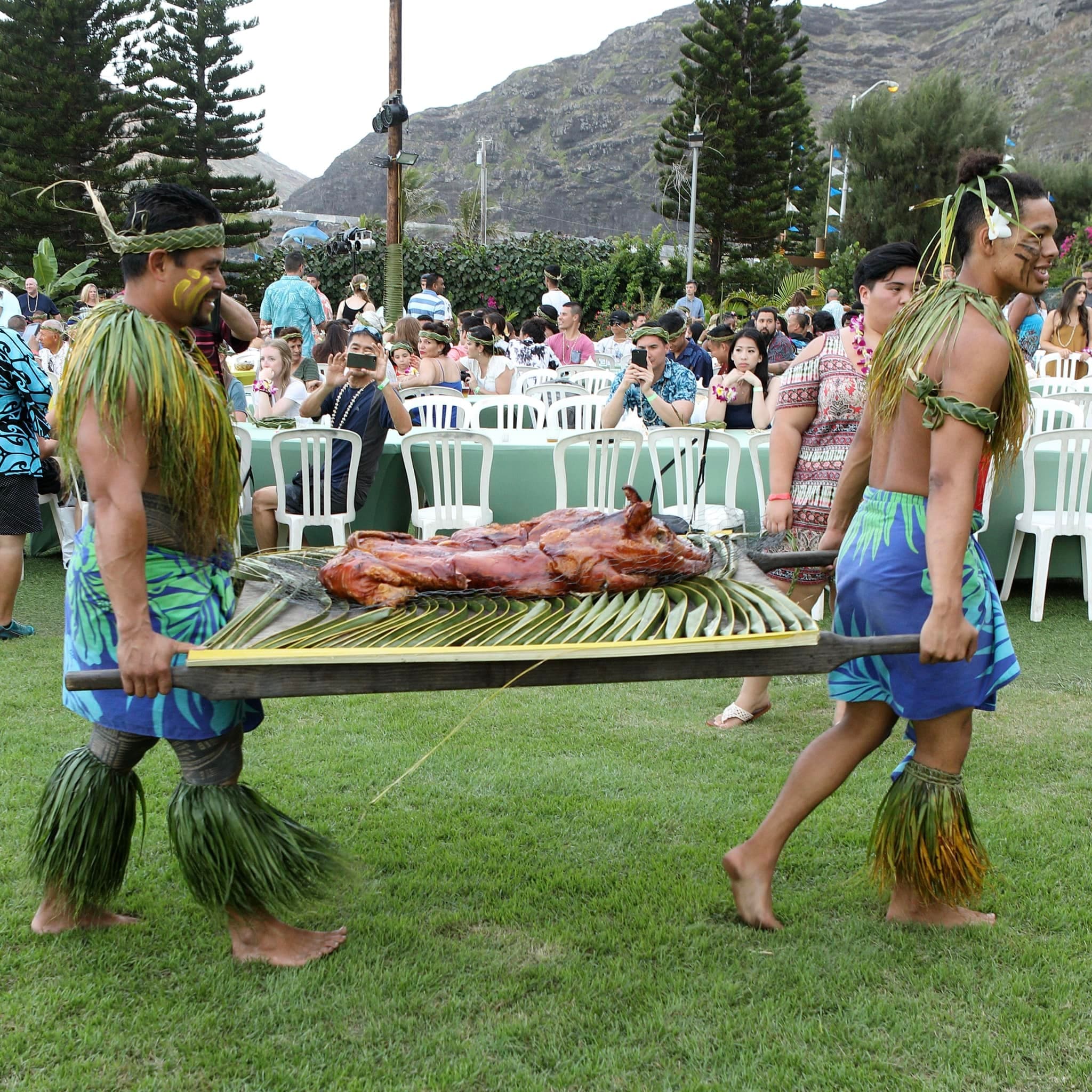 Aloha Kai Bronze Package