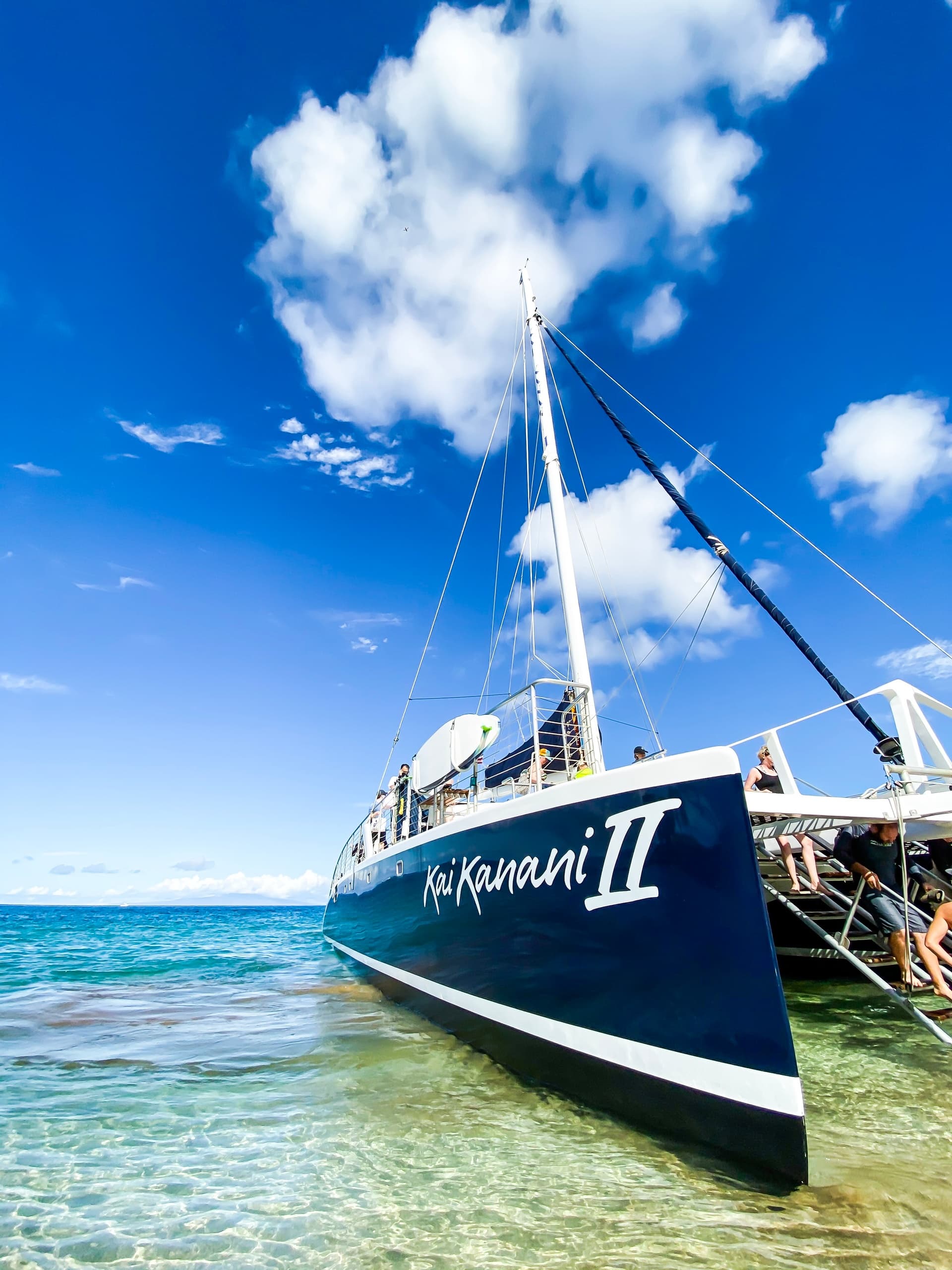 Signature Deluxe Snorkel