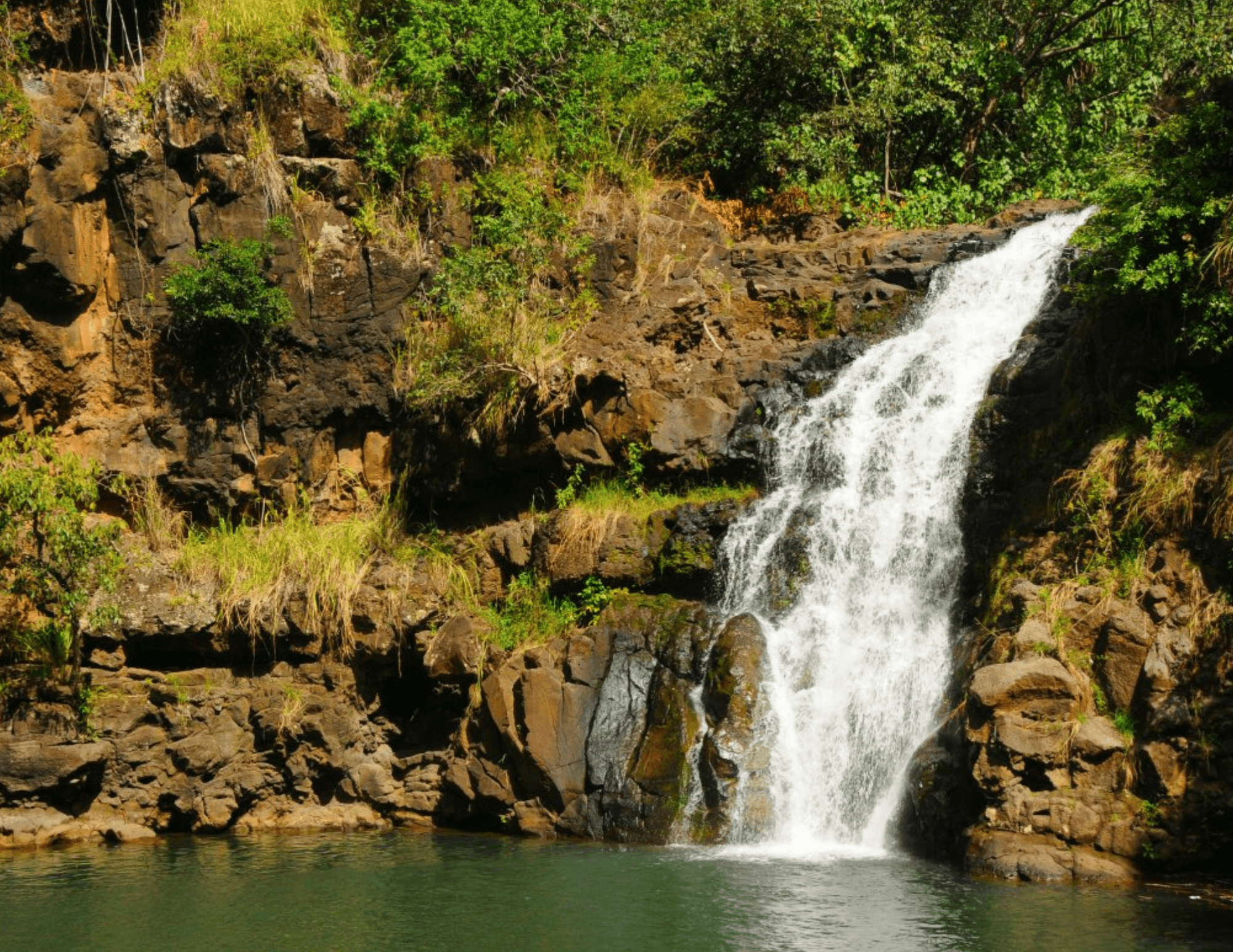 Hidden Gems of Oahu with Waimea Botanical Garden (Online Reservation)