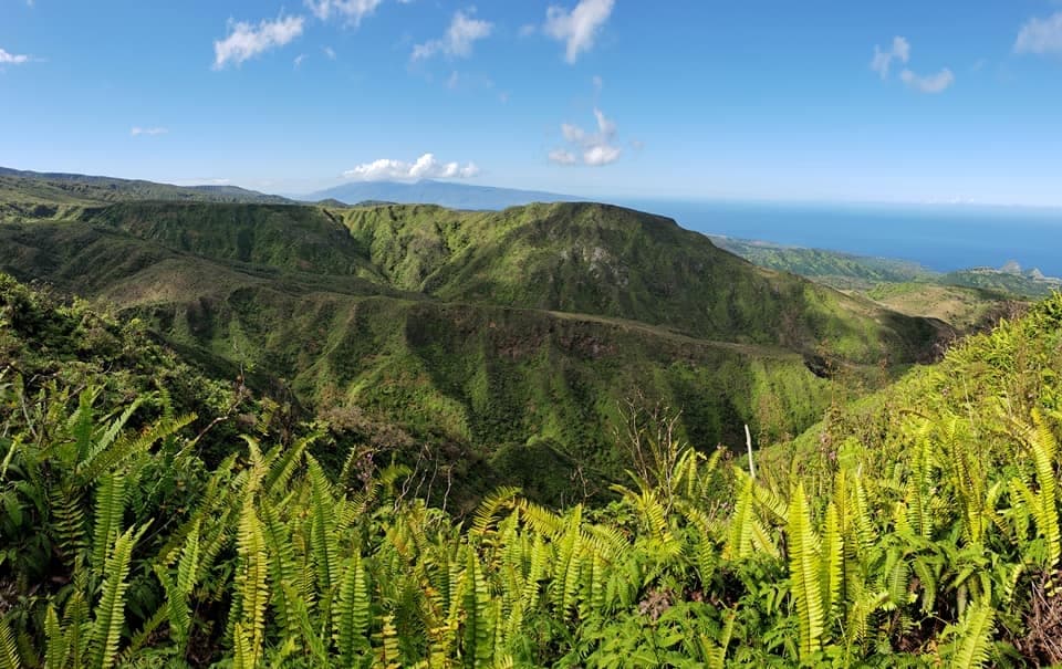 North Shore Hiking Experience