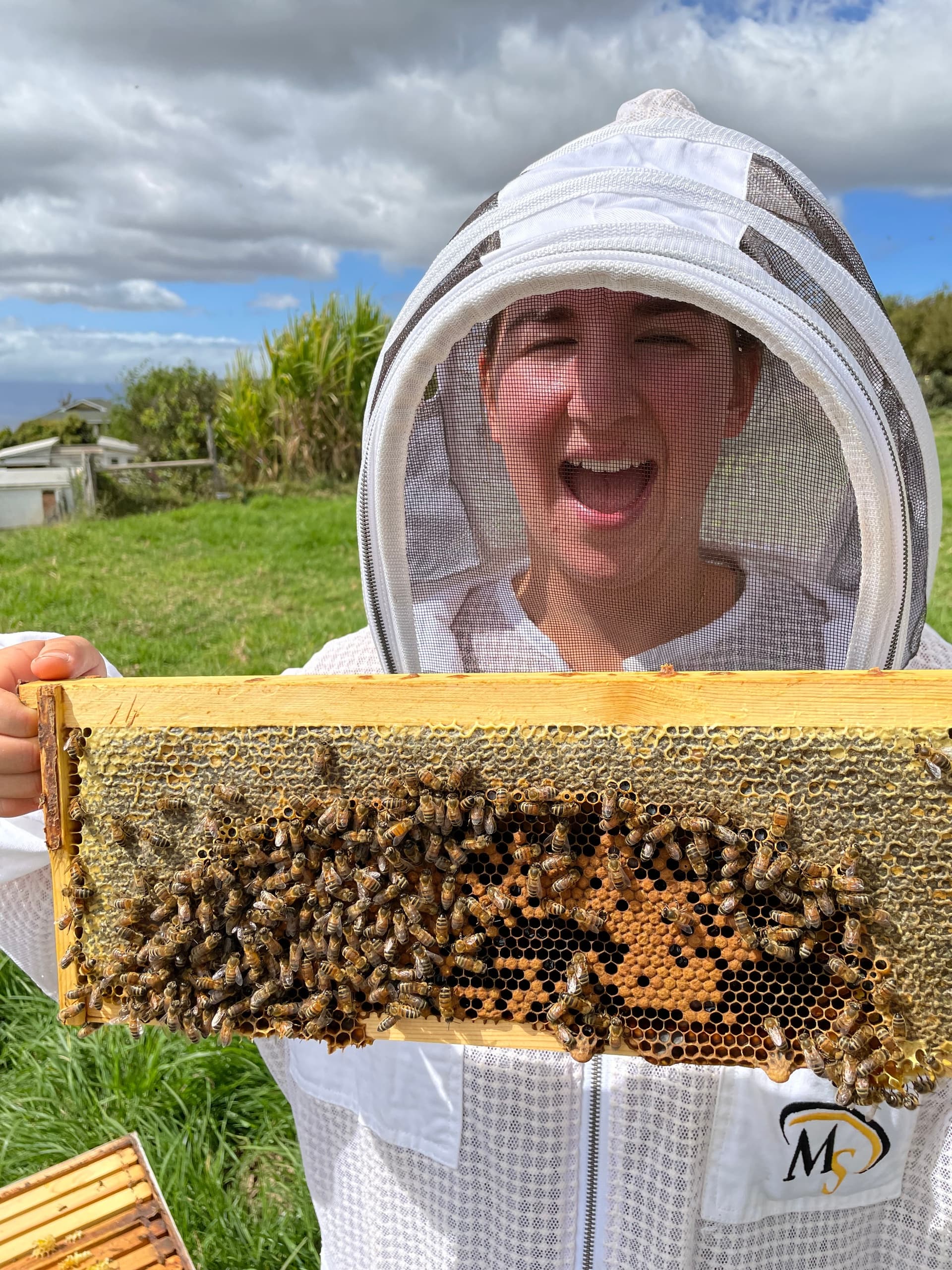 Hands on Honey Bee Workshop