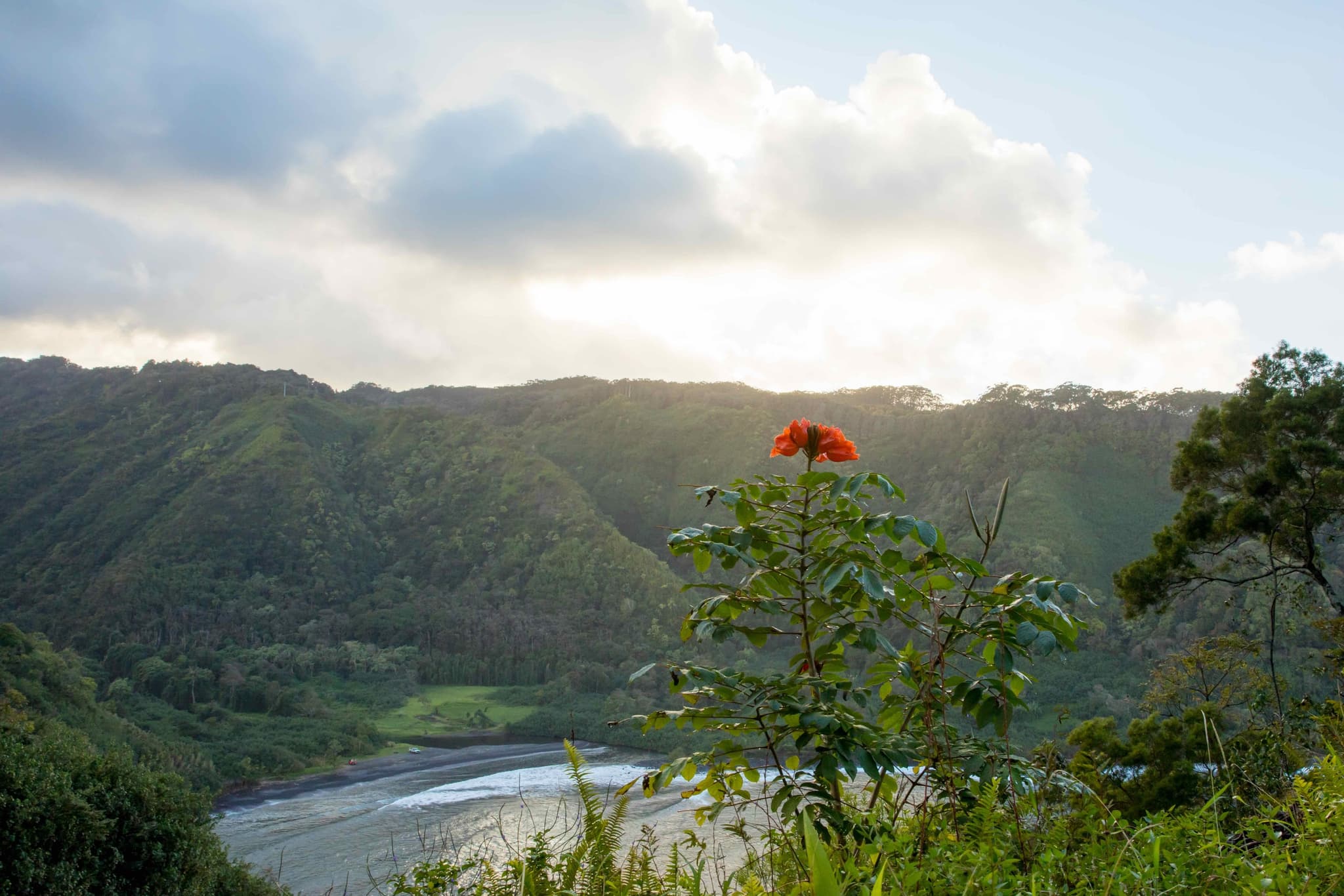 HALFWAY TO HANA TOUR