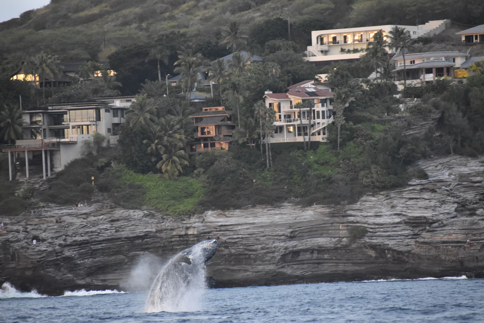 Private Sunset Cruise (up to 30 pax only $699)