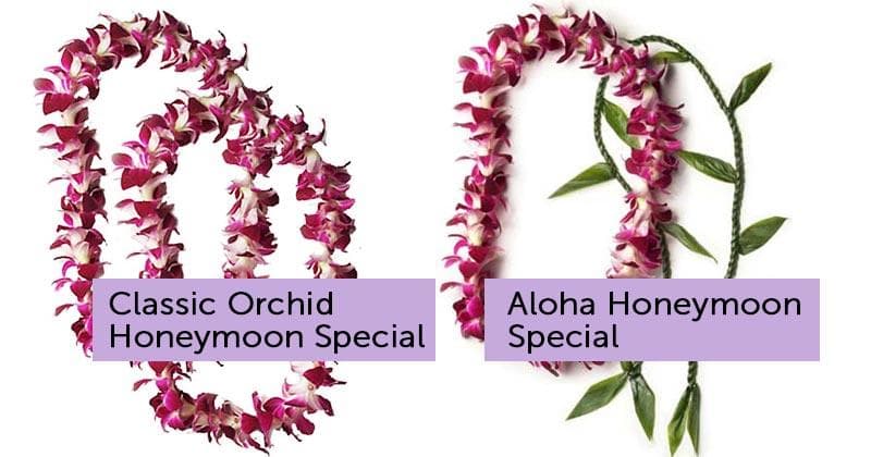 Honeymoon Lei Greeting - Kahului Maui Airport