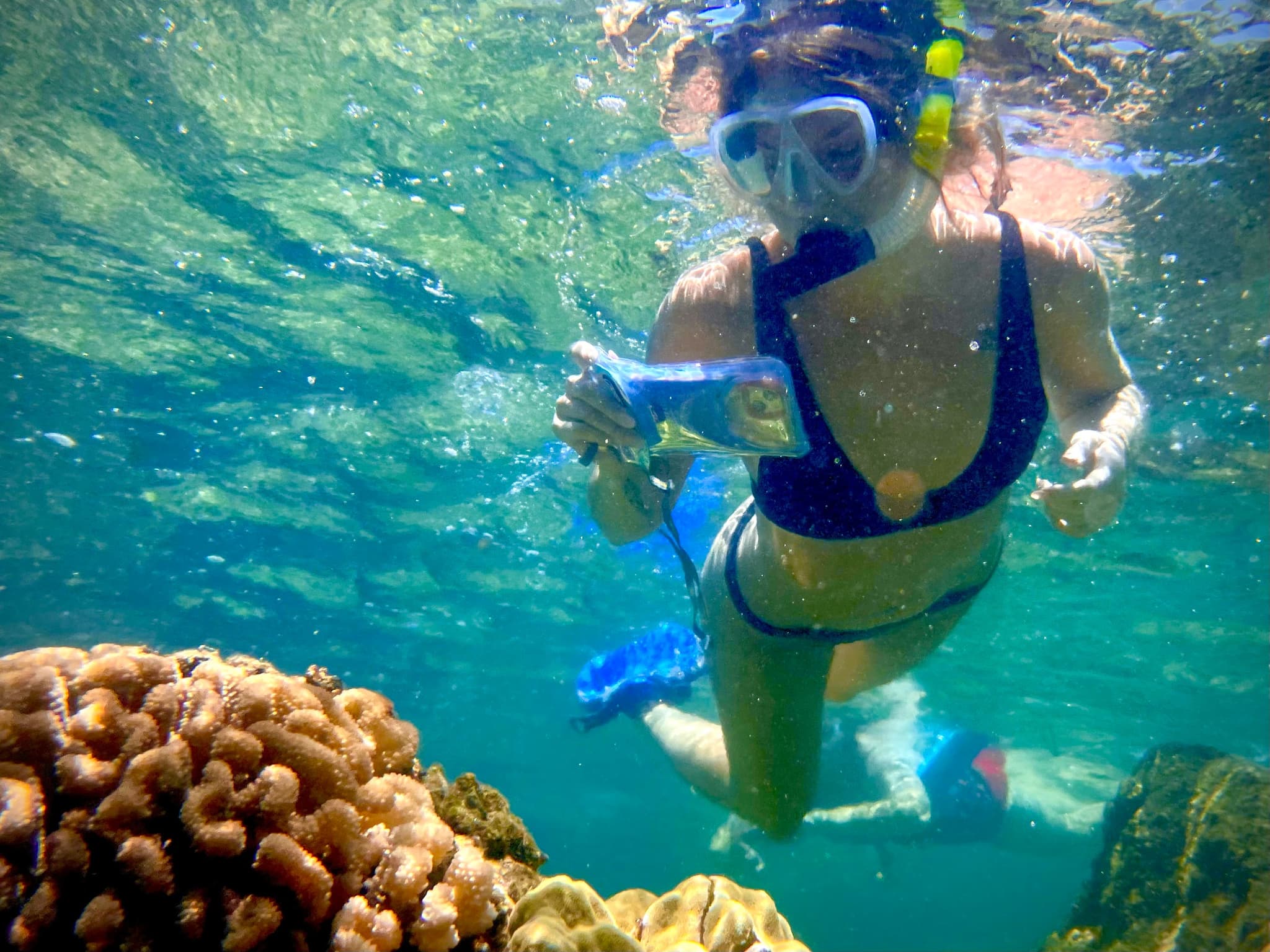 Beach Snorkel - Sea Turtle Lagoon and Black Sand Beach