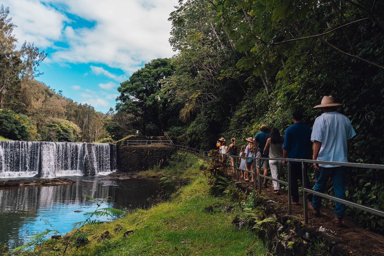 Farm & Food Experience