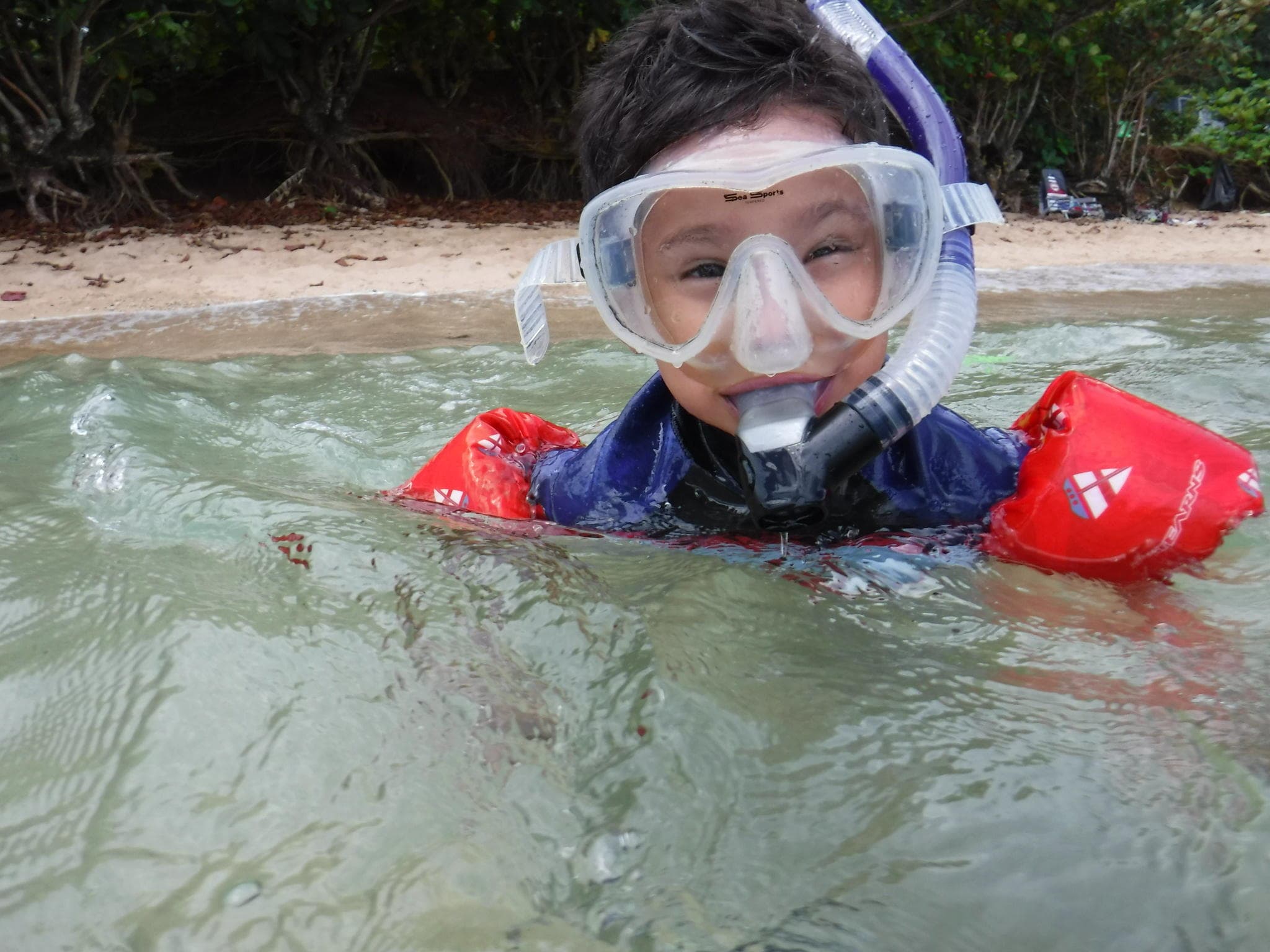 Snorkel Turtle Tours