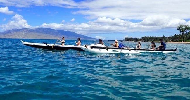 Grand Wailea Swim with the Turtles