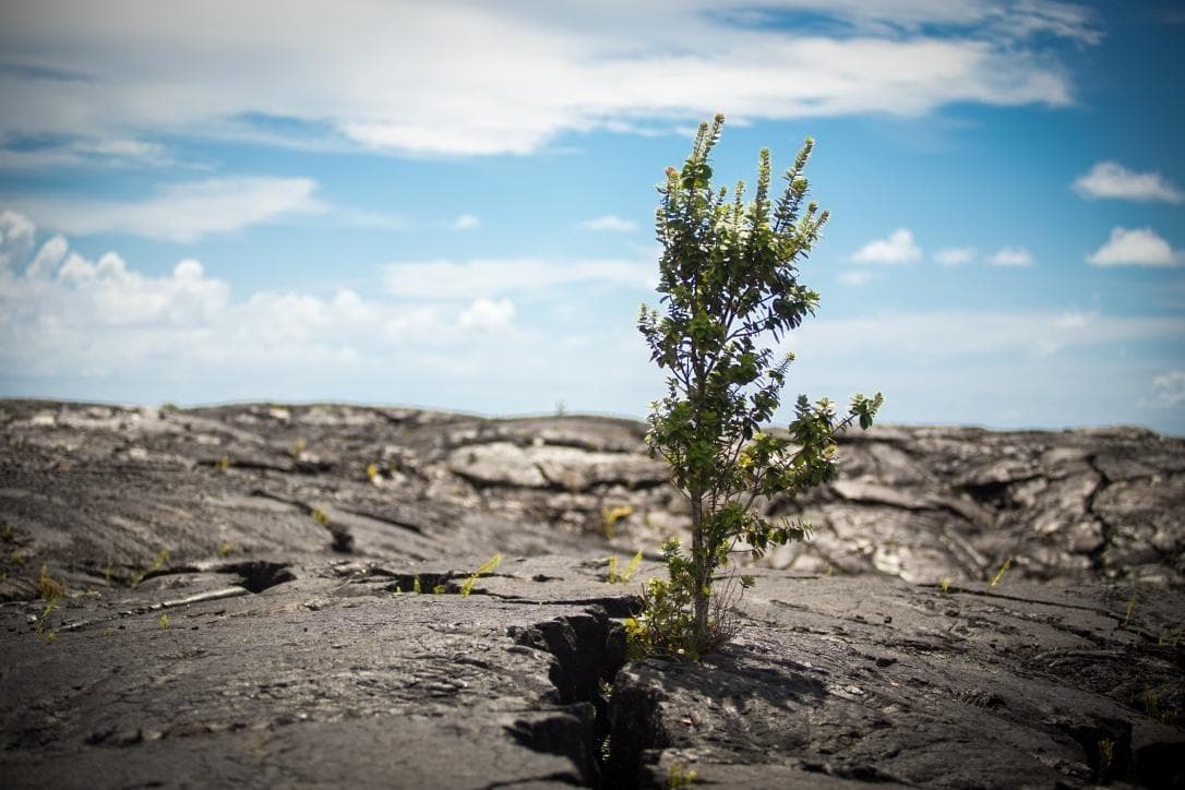 Evening Volcano Explorer - Waikoloa/Kohala Pick-Up
