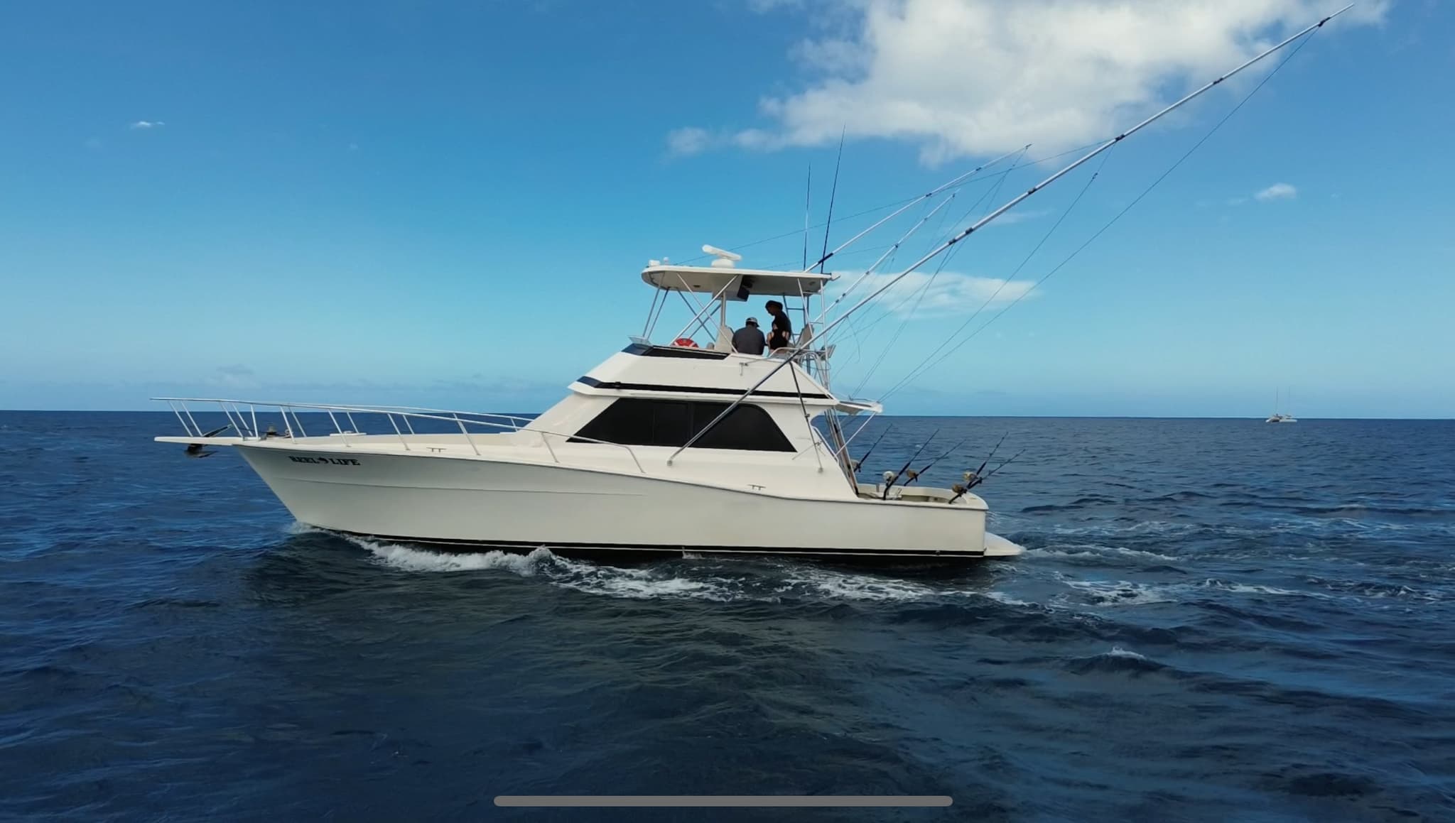 Shared Charter 3/4 day