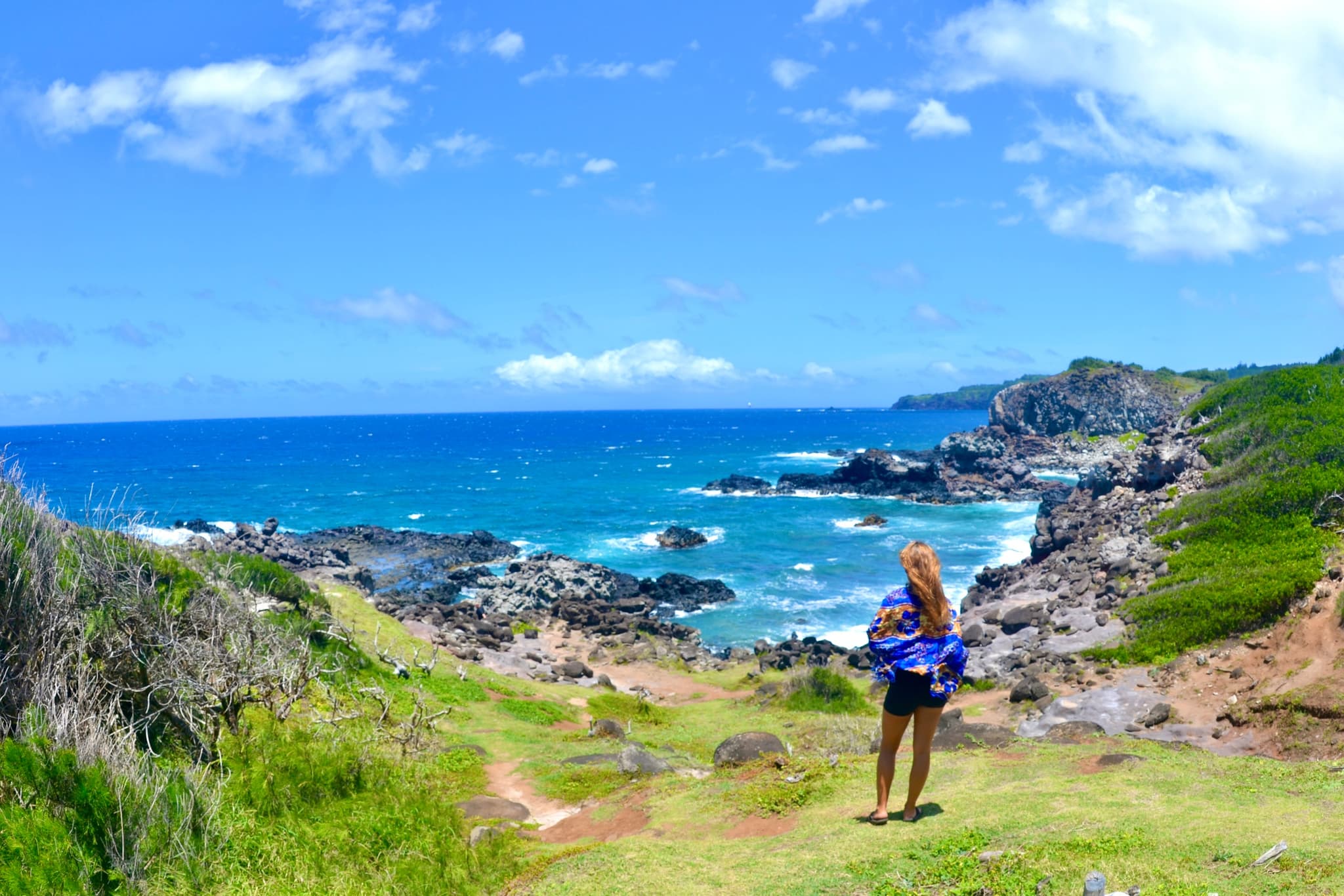 1/2 Day Westside VIP Private Tour