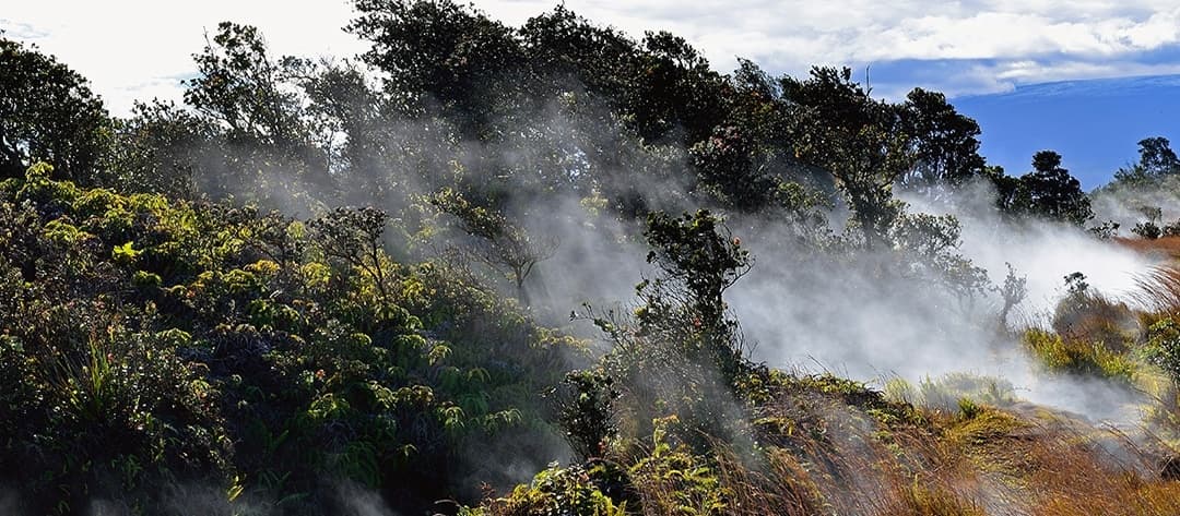 33W - Hawaii Volcanoes National Park Experience Departing from Oahu