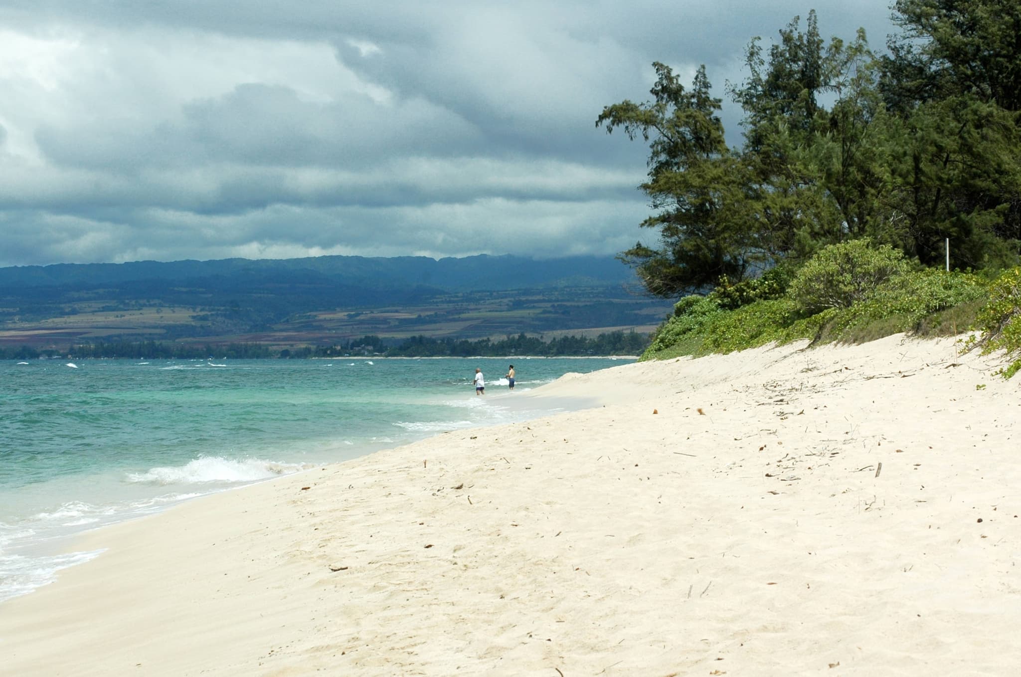 North Shore Tour - Private Tour